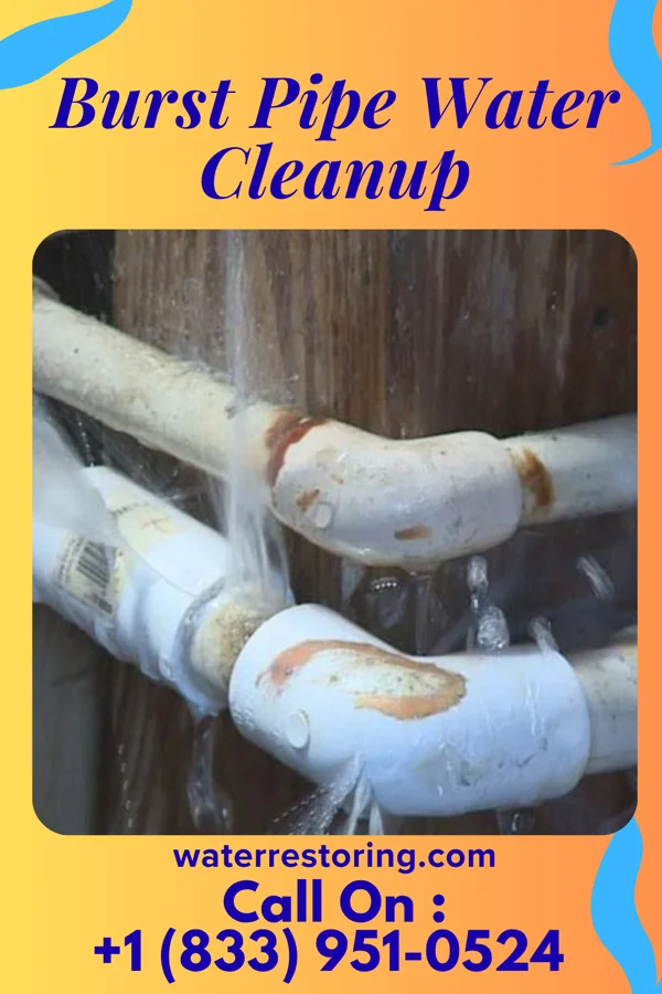 Burst Pipe Water Cleanup in Harvard, NE