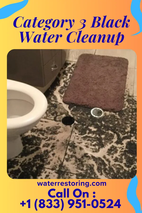 Category 3 Black Water Cleanup in Harvard, NE